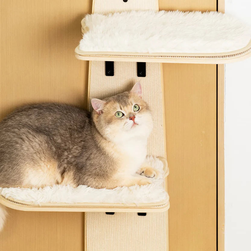 Door Cat Tree